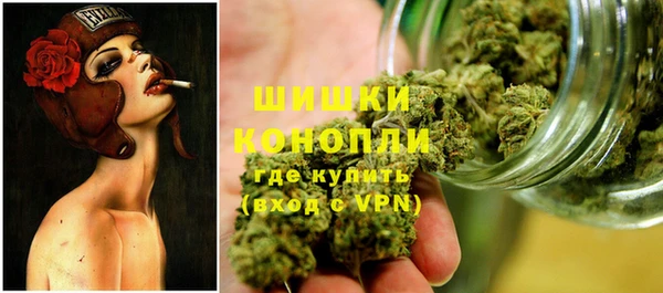 прущие крисы Белокуриха