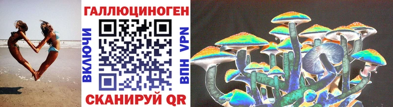 Галлюциногенные грибы Psilocybe  гидра зеркало  Губкинский  закладка 